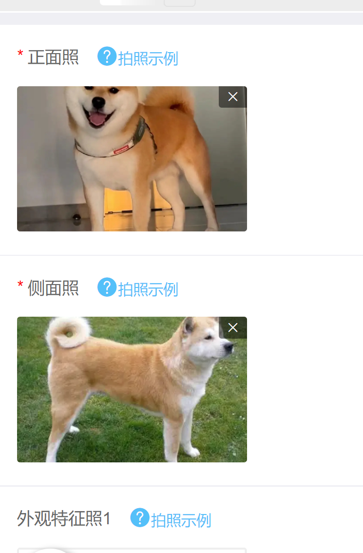 如何辦理初次養犬登記？