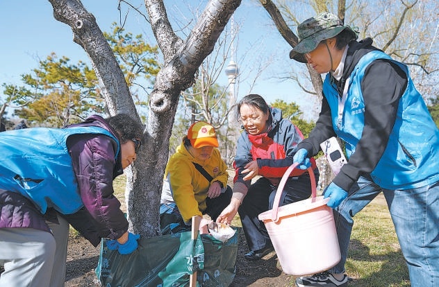 3月12日，玉淵潭公園開展植樹主題活動，誌願者們利用新型園林科技產品“水圍脖”為櫻花樹施肥澆水。