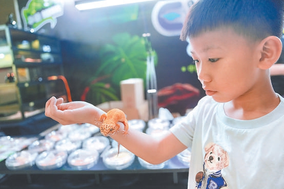 小朋友在嘉年華上與爬寵近距離接觸。