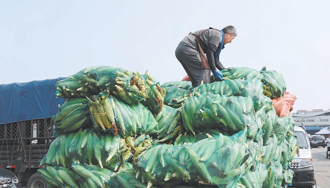 為應對暴雨紅色預警，新發地市場加大組織貨源力度，目前蔬菜水果等農產品供應充足、價格穩定。