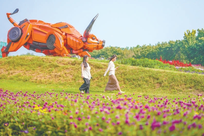 北京國際鮮花港巨型立體花壇亮相 10萬平方米花海“含菊量”增142%