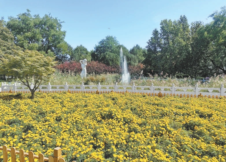 豐台花園內景。 豐台花園內景。