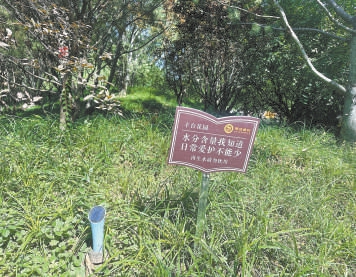 土壤墒情儀。 土壤墒情儀。