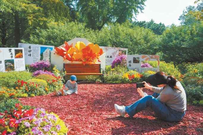 香山公園“金風信箋”主題花境吸引遊客拍照。
