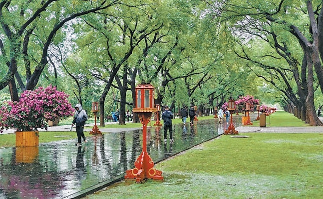 雨中的天壇公園。