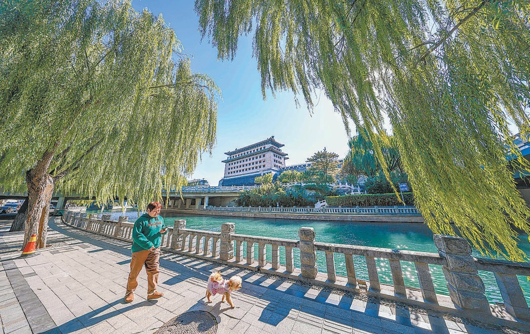 北護城河鬆林閘附近濱水空間開放，市民悠然暢行。