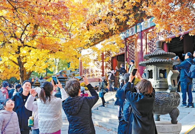 11月2日，眾多遊人赴香山賞秋，彩葉與古建相映成趣，移步之間，光影變幻不斷，園內處處成畫，美不勝收。