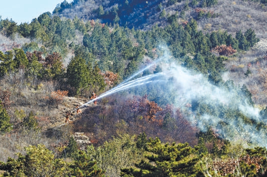 11月11日，十三陵林場演練森林防滅火。