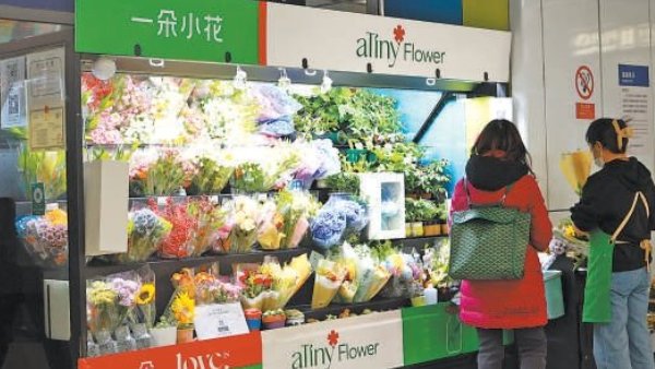 2025-11-26_172905 2025-11-26_172905