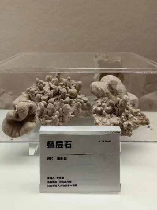北京高校陸續開學 一批高校博物館和展覽換新重張