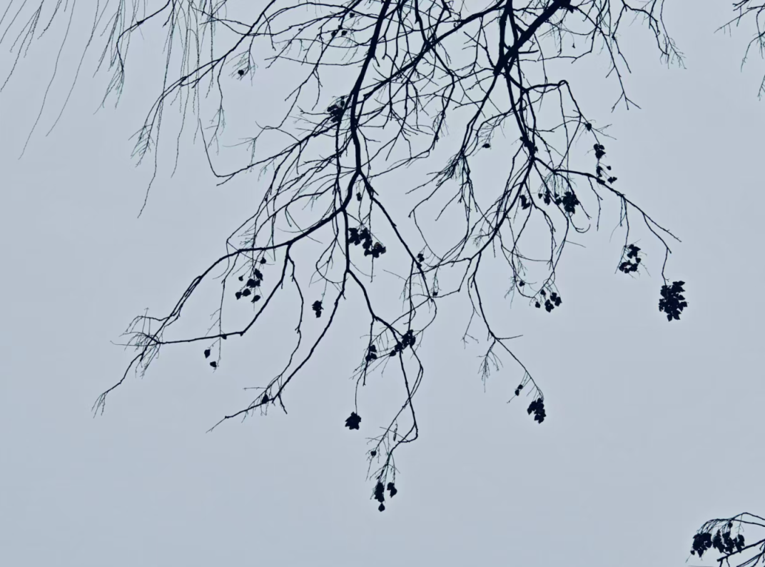 京城今起四天多雨雪!出門帶傘 及時加衣保暖 京城今起四天多雨雪!出門帶傘 及時加衣保暖