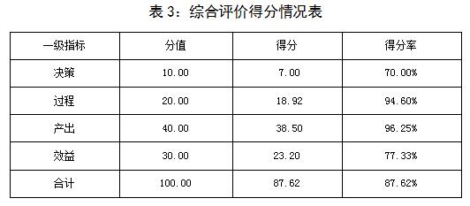 表3：綜合評價得分情況表