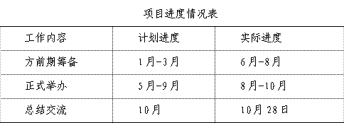 項目進度情況表