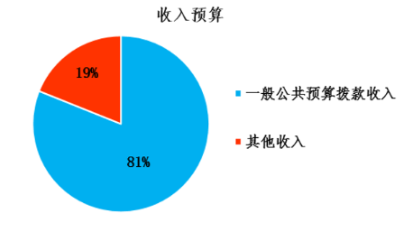 圖1:收入預算 圖1:收入預算