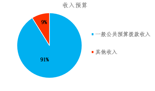 圖1:收入預算 圖1:收入預算