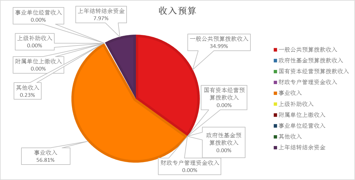 圖1:收入預算 圖1:收入預算