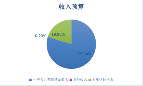 圖1:收入預算 圖1:收入預算