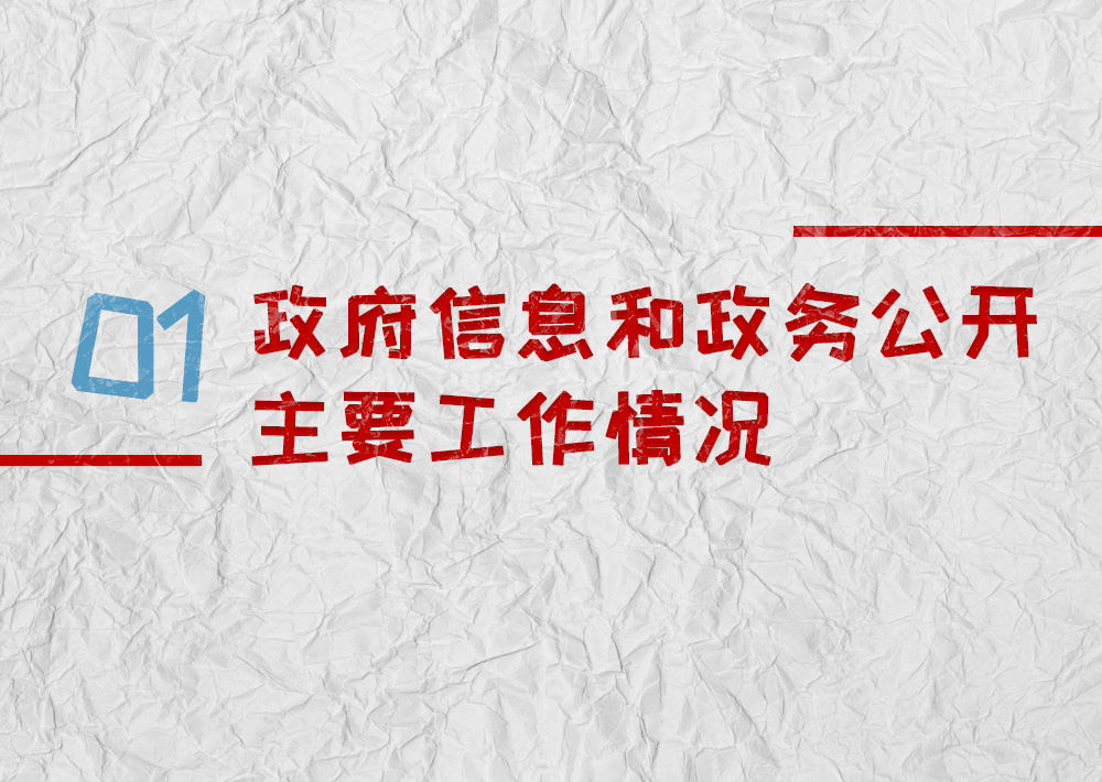 政府信息  和 政 務 公開主要工作情況