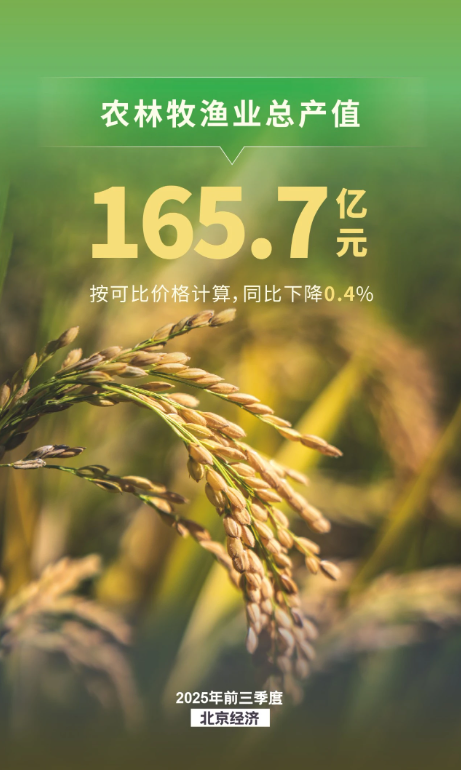 農業生產保持穩定,種業收入兩位數增長 農業生產保持穩定,種業收入兩位數增長