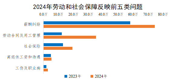 2024年勞動和社會保障反映前五類問題
