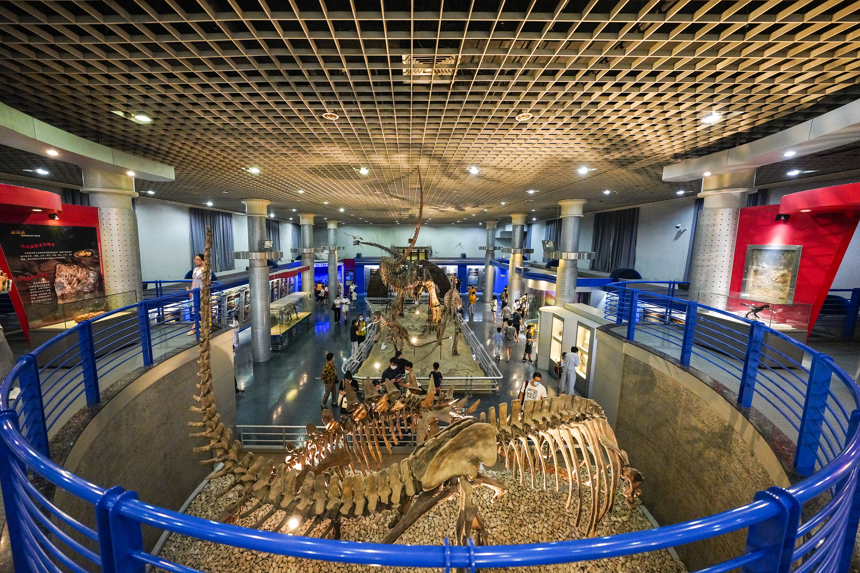 北京自然博物館