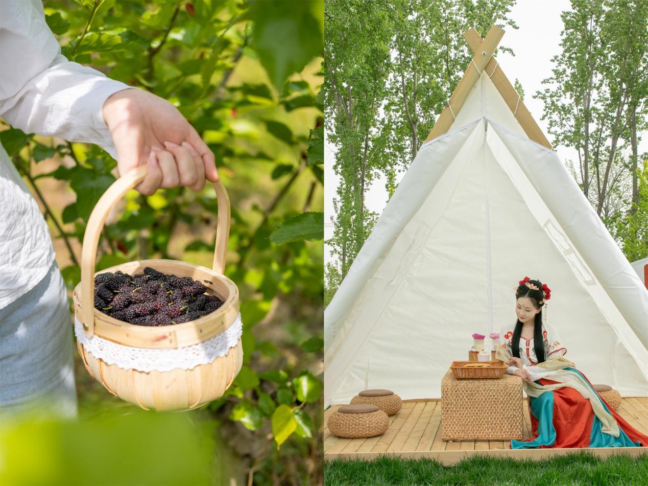 大興禦林古大桑園