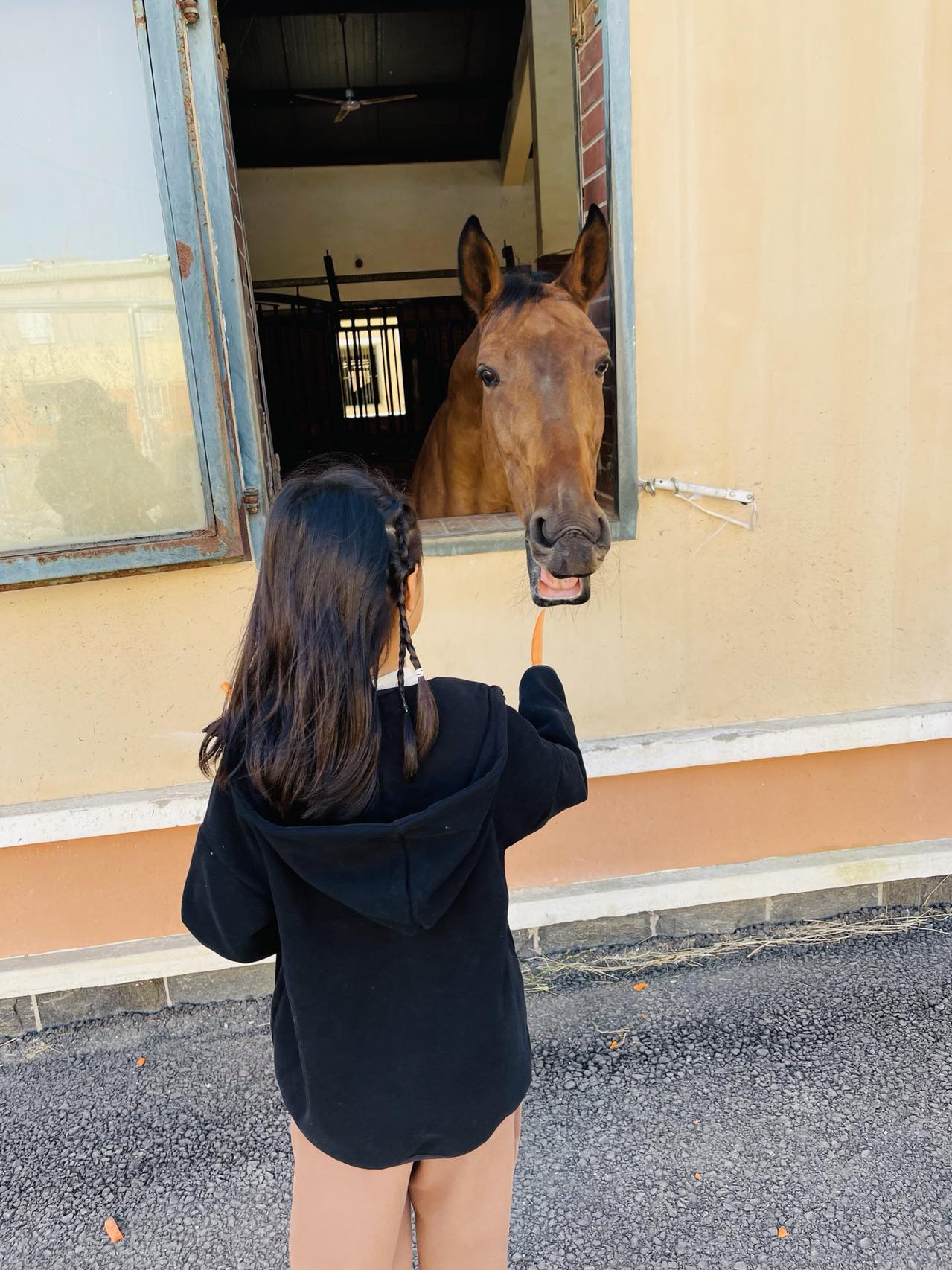 上林馬術中央公園