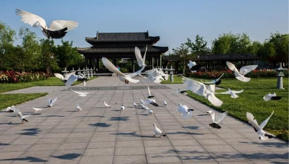 世界月季主題園