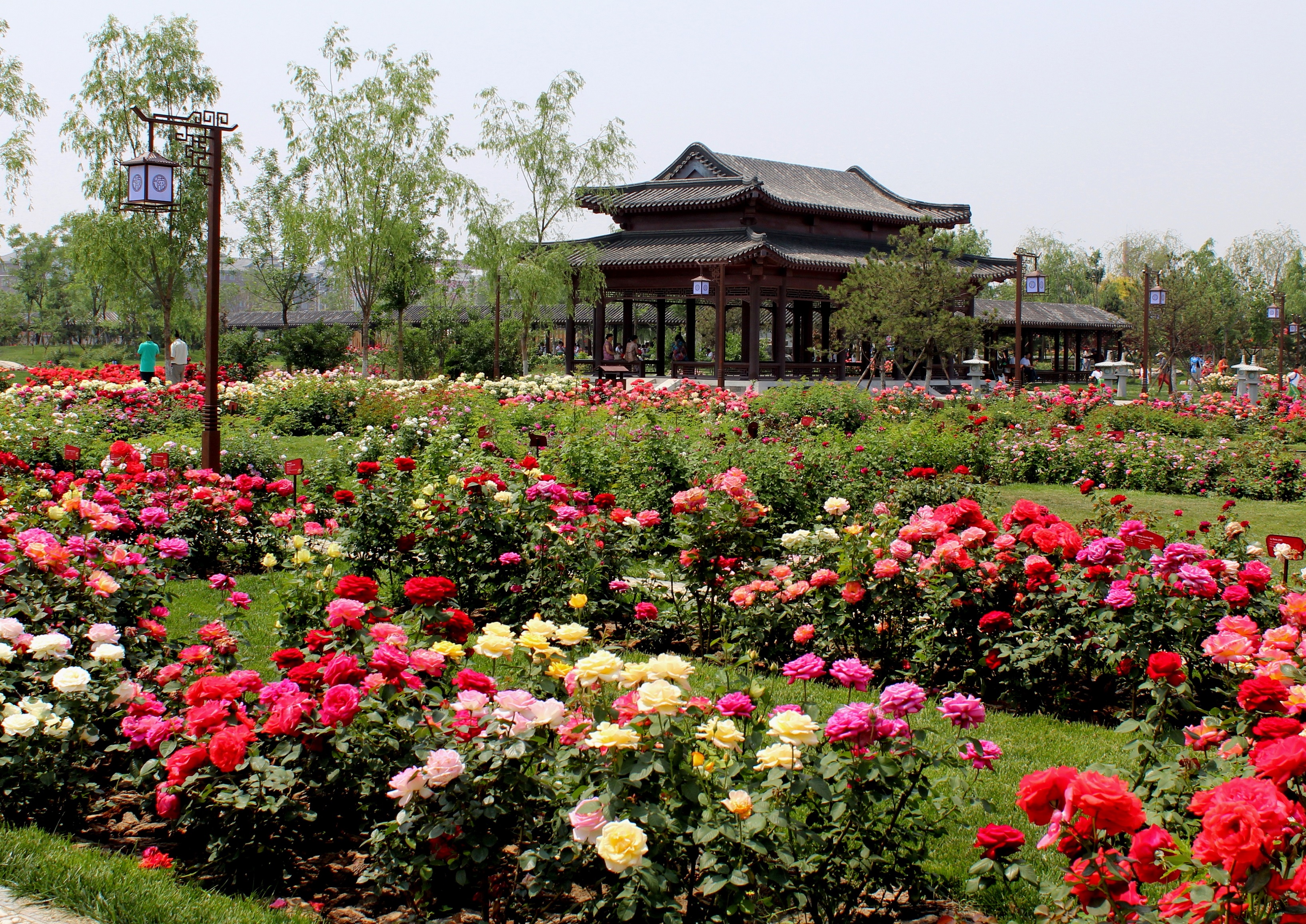 世界月季主題園