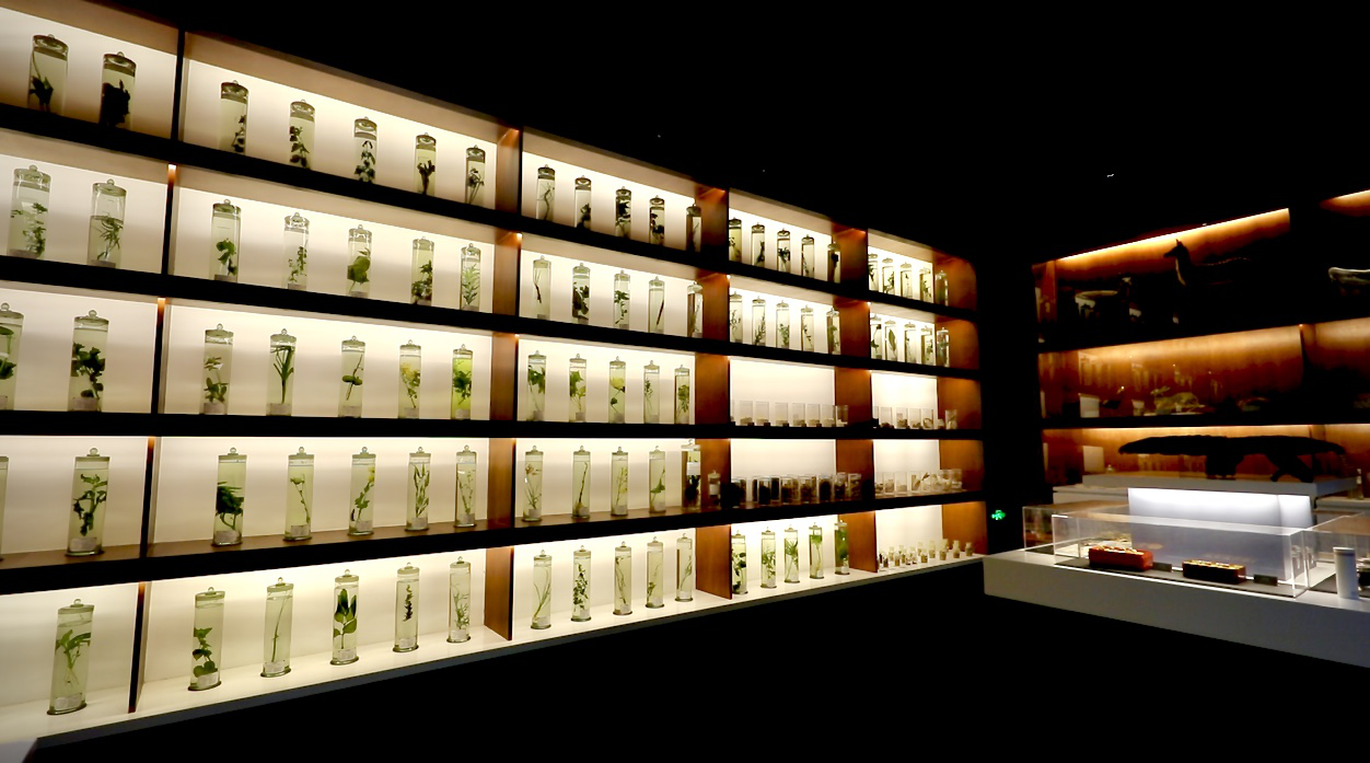 北京中藥炮製技術博物館