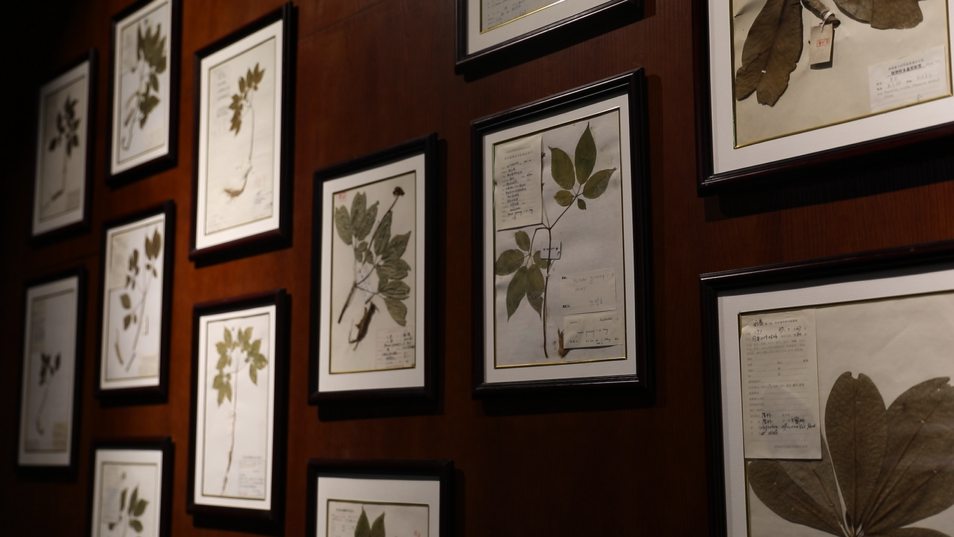 北京中藥炮製技術博物館