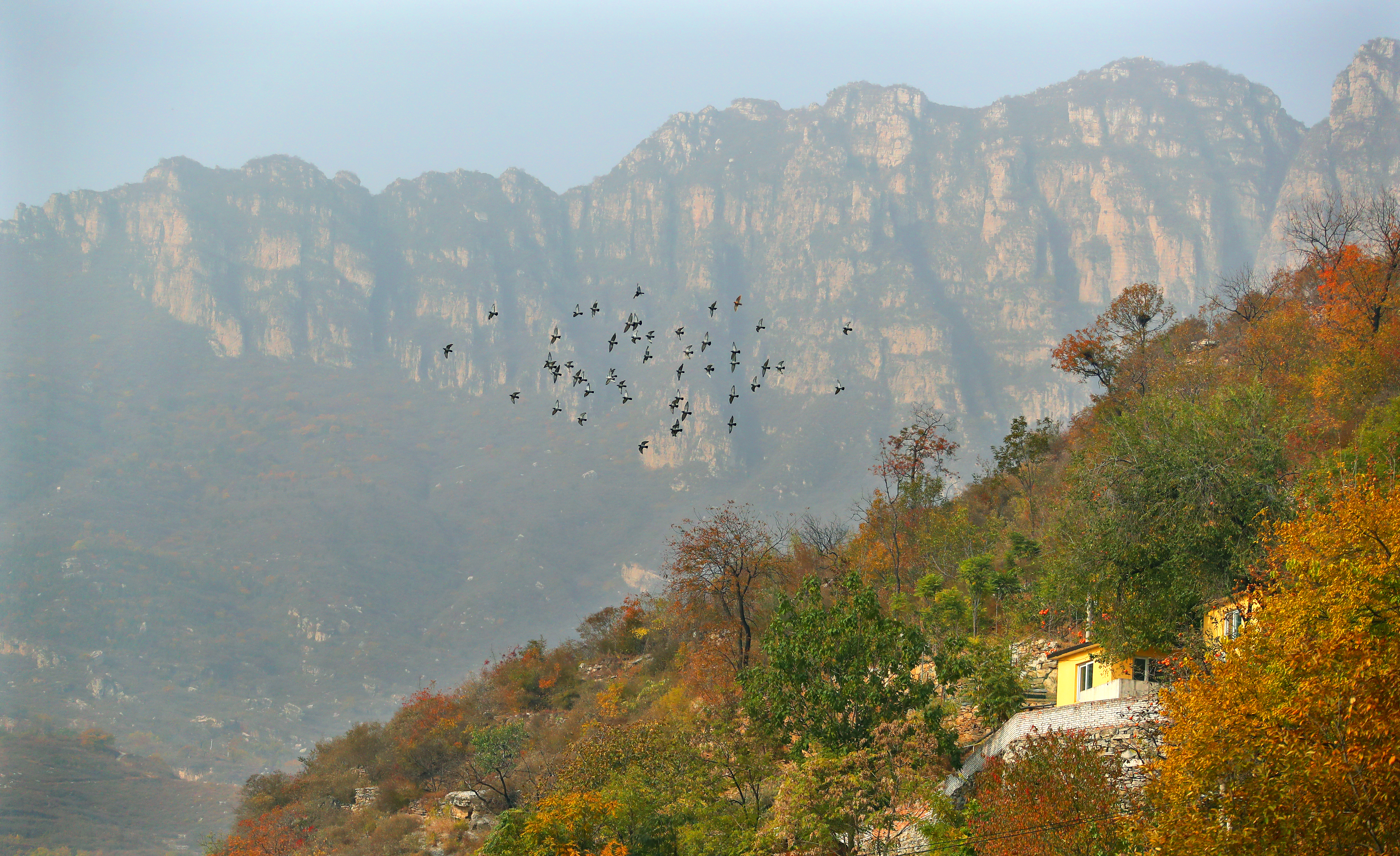 上方山國家森林公園