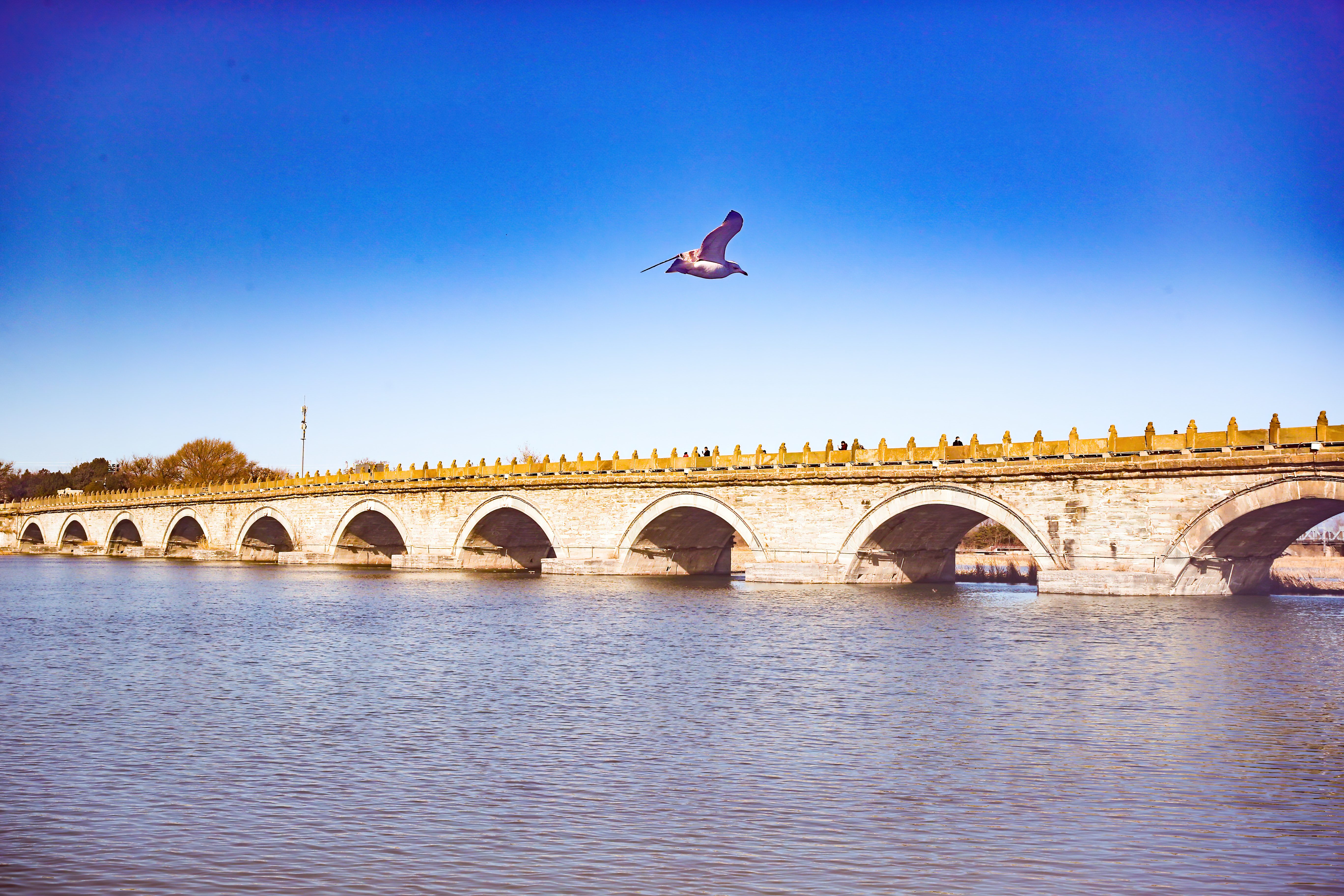 盧溝橋畔曉月湖春景