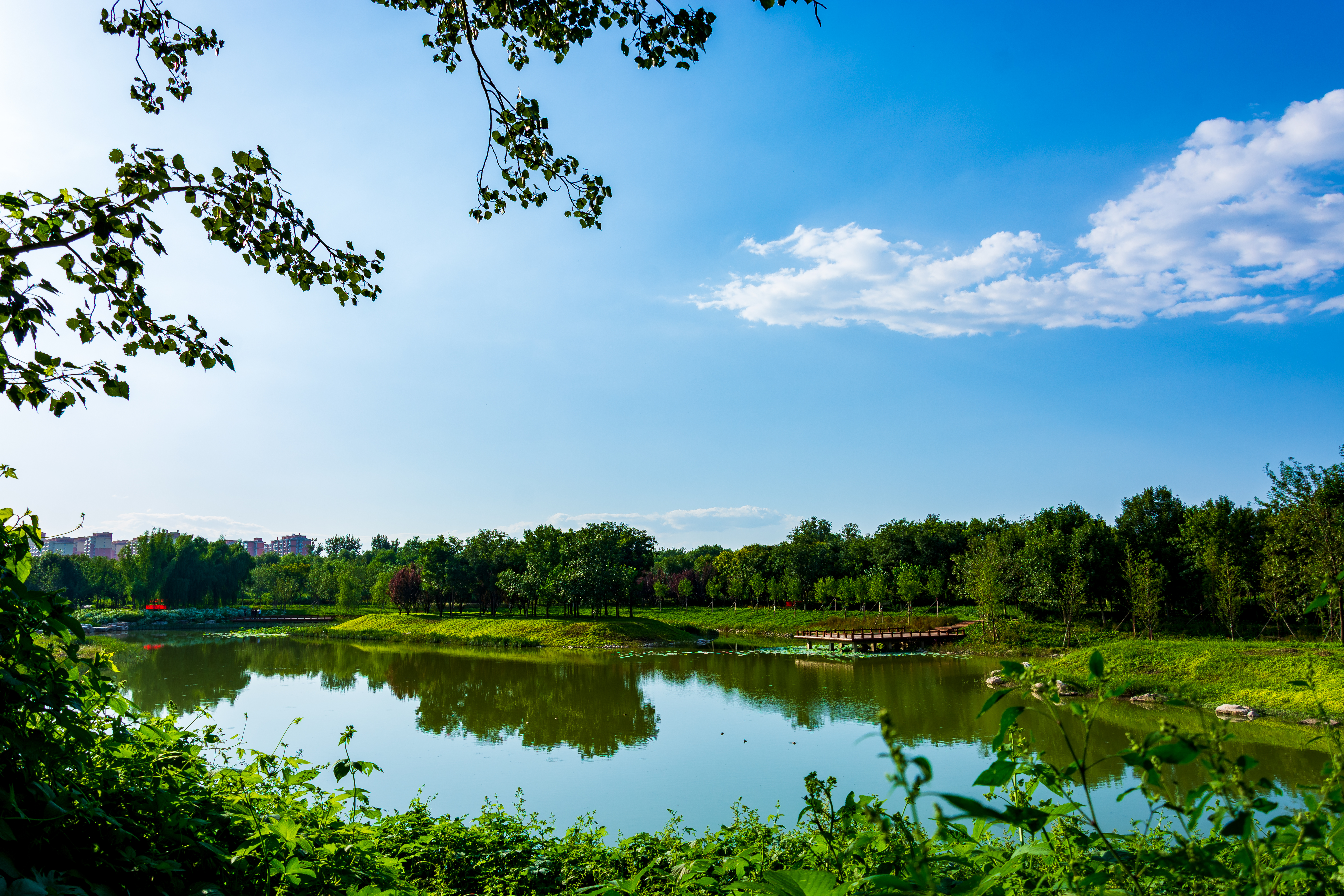 南苑森林濕地公園