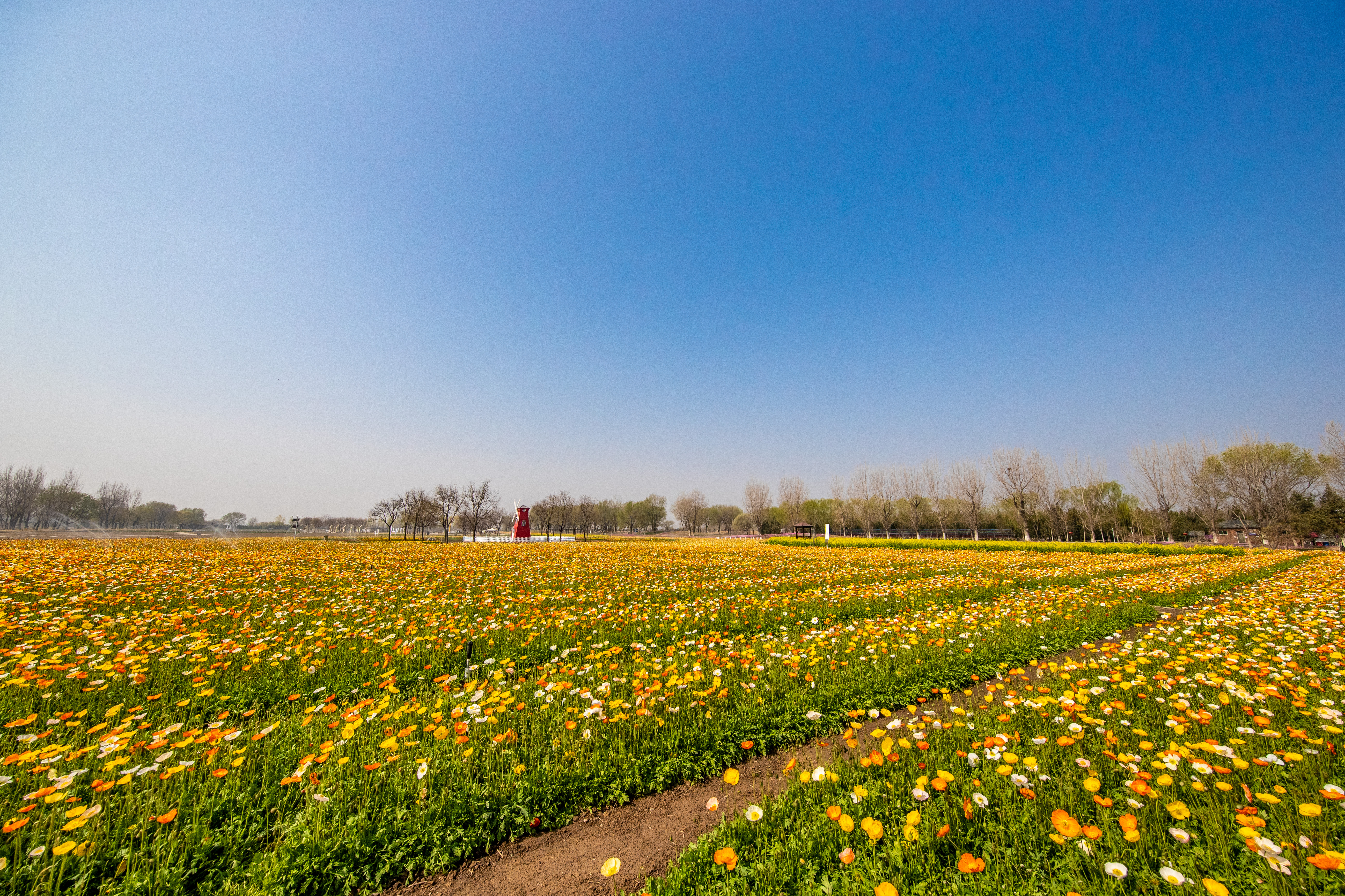紫穀伊甸園 紫穀伊甸園
