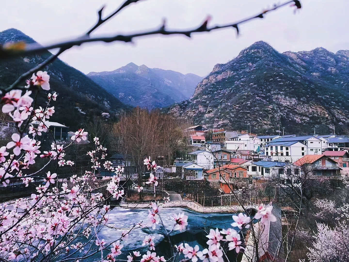 清水鎮美麗鄉村