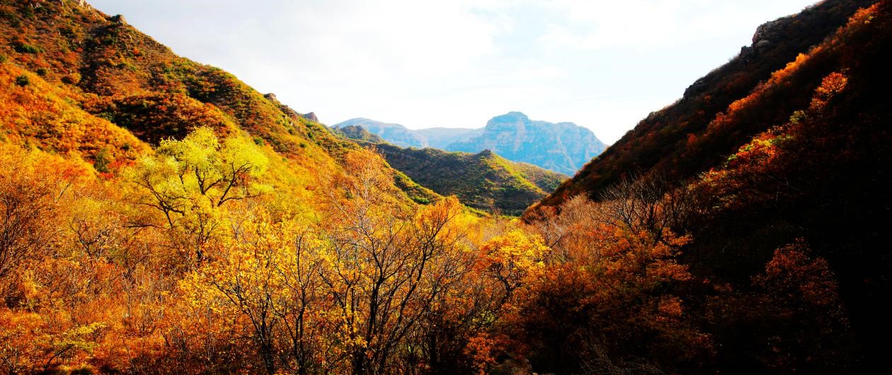 聚靈峽靈山古道