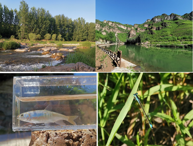 【紅色旅遊線路】北莊追憶革命道路 紅色鄉村文化遊