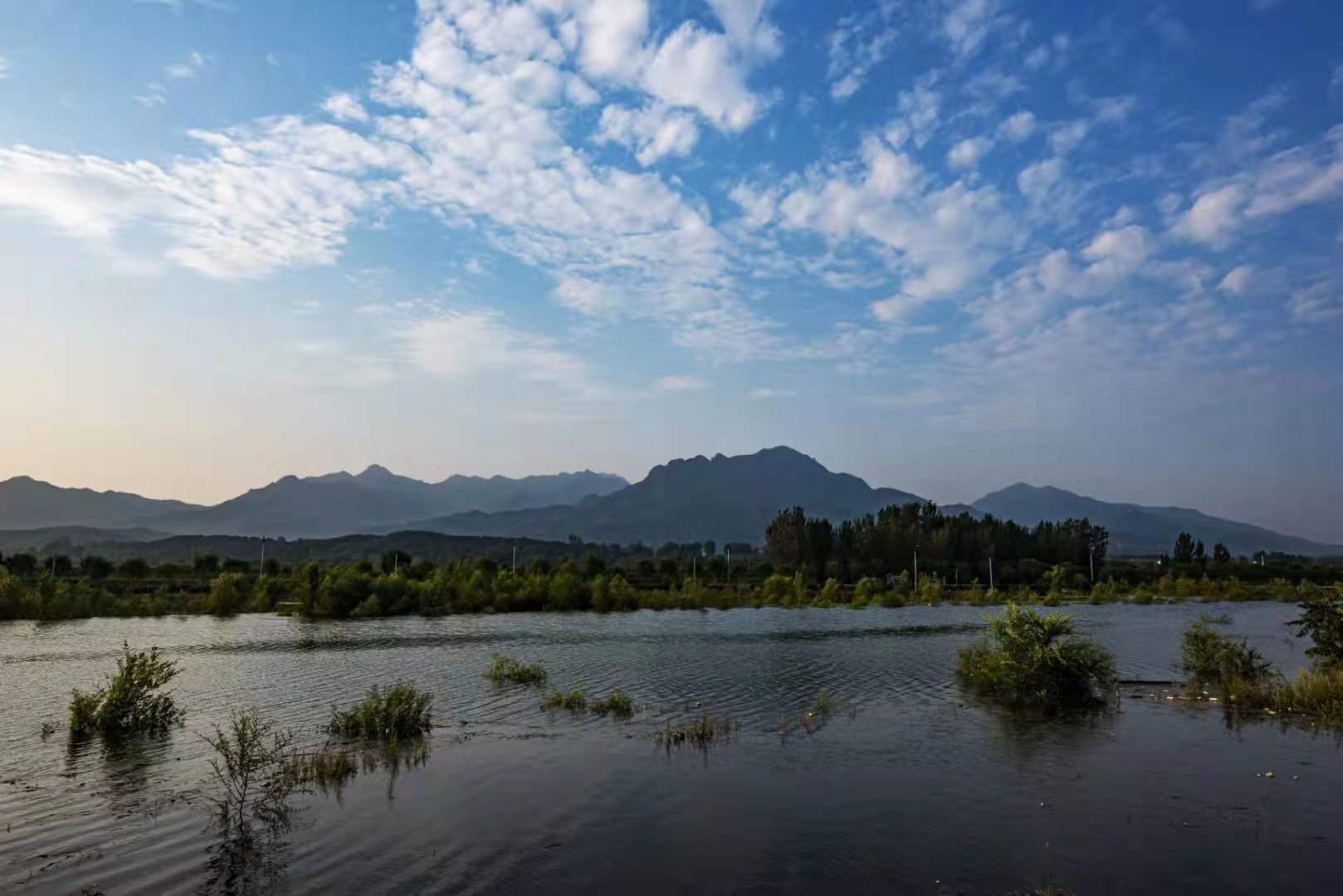 清水河畔風景美