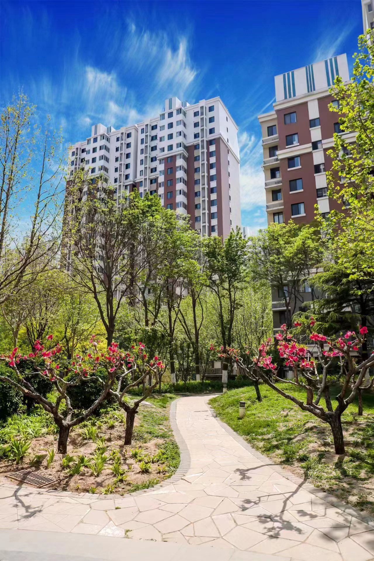 八寶山街道 八寶山街道