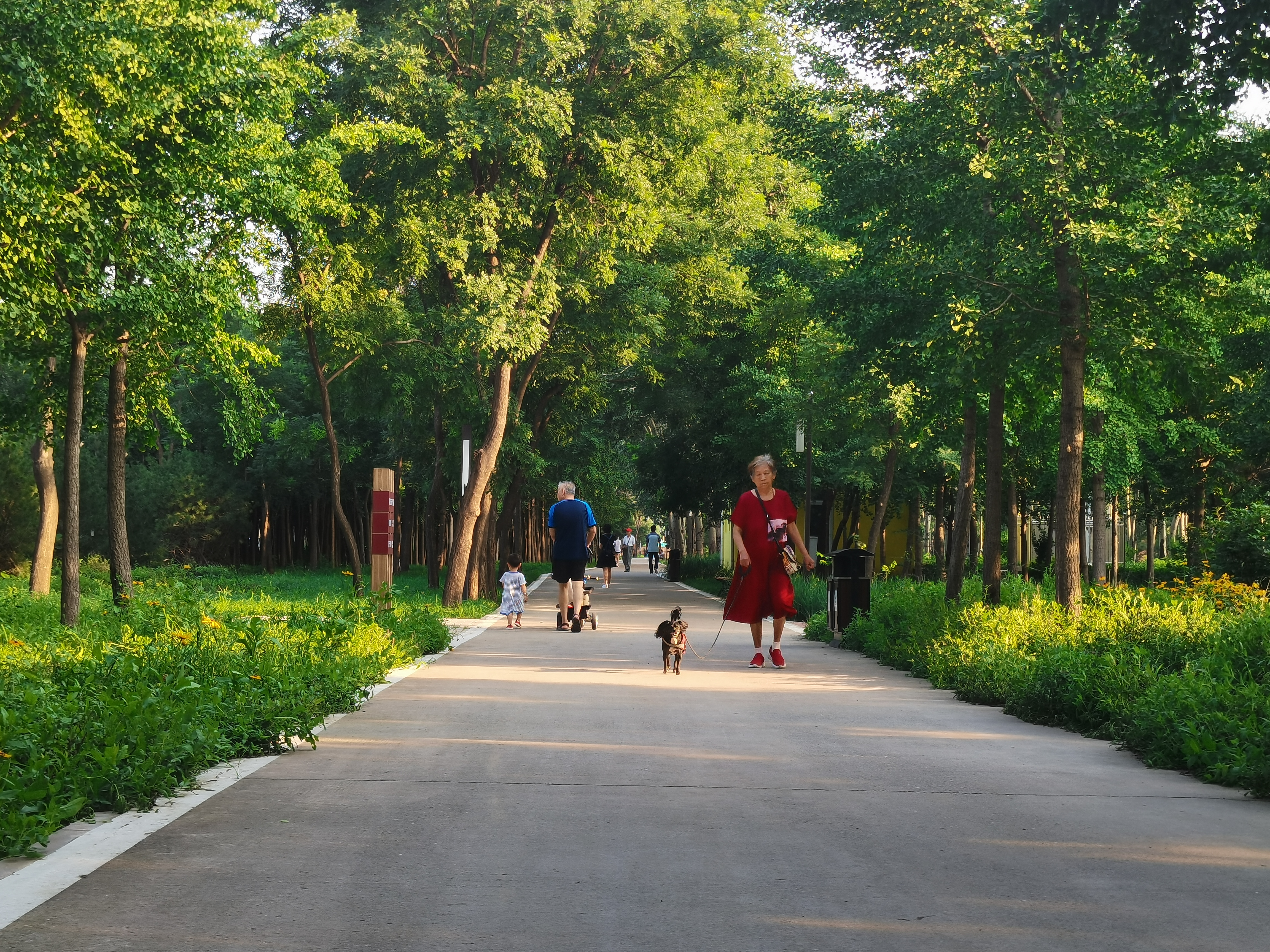八寶山街道 八寶山街道