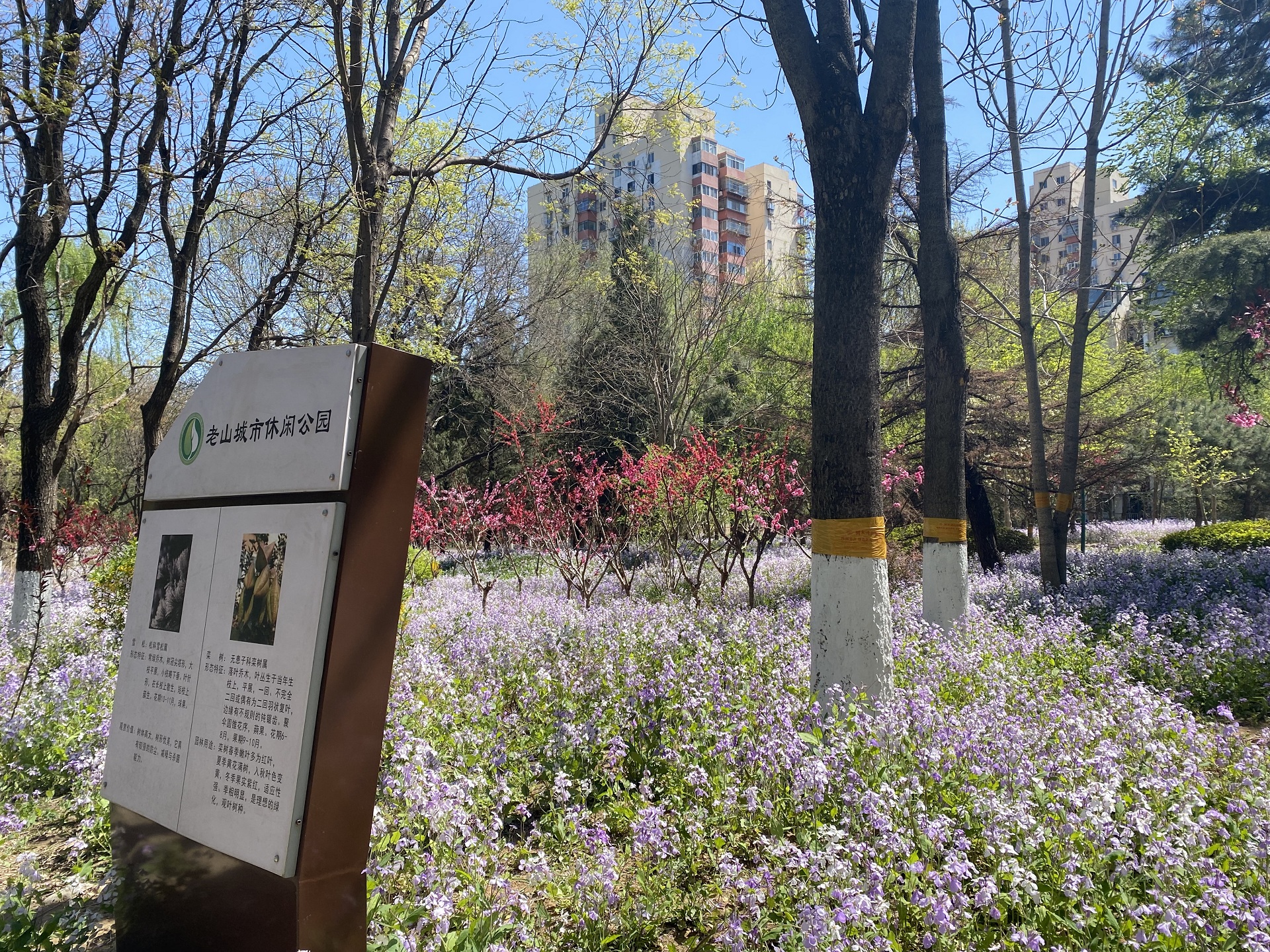 老山街道 老山街道