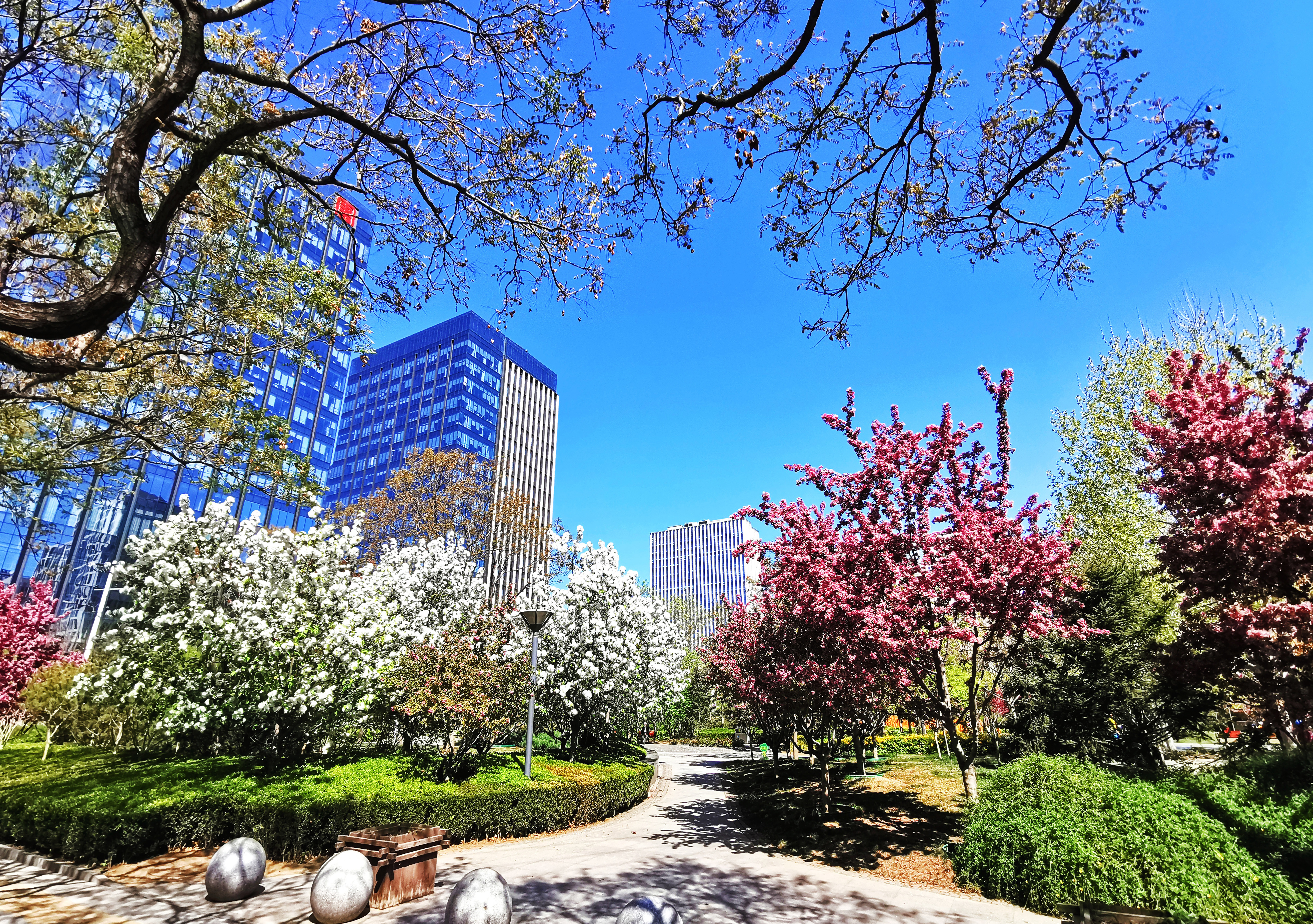 城中花園 城中花園