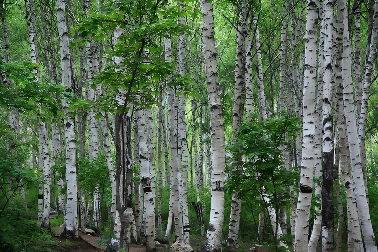 北京推出七條特色鄉村旅遊線路