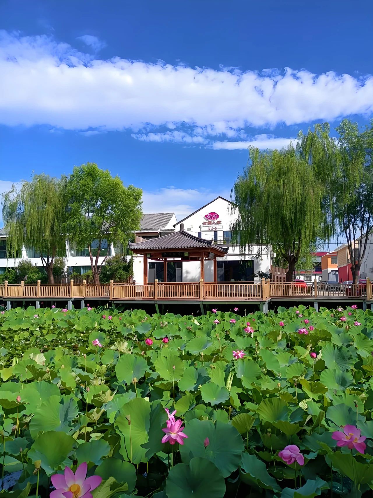 北京推出七條特色鄉村旅遊線路