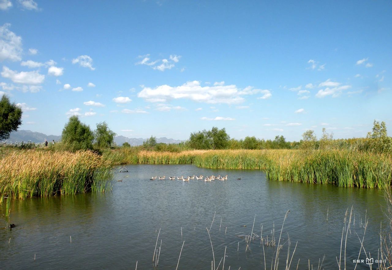 北京推出七條特色鄉村旅遊線路