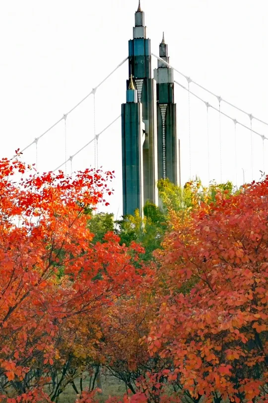 初秋→深秋,昌平這7條賞秋線路必衝 初秋→深秋,昌平這7條賞秋線路必衝