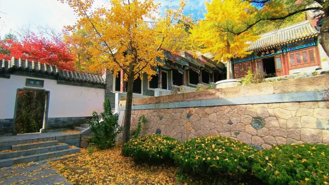 初秋→深秋,昌平這7條賞秋線路必衝 初秋→深秋,昌平這7條賞秋線路必衝