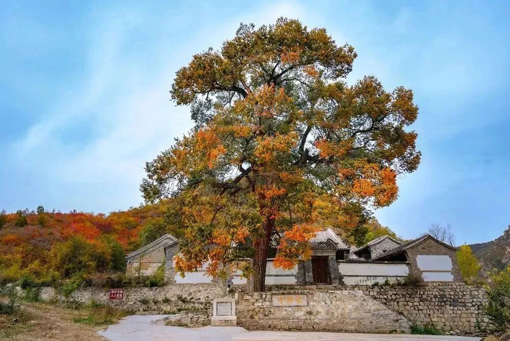 初秋→深秋,昌平這7條賞秋線路必衝 初秋→深秋,昌平這7條賞秋線路必衝