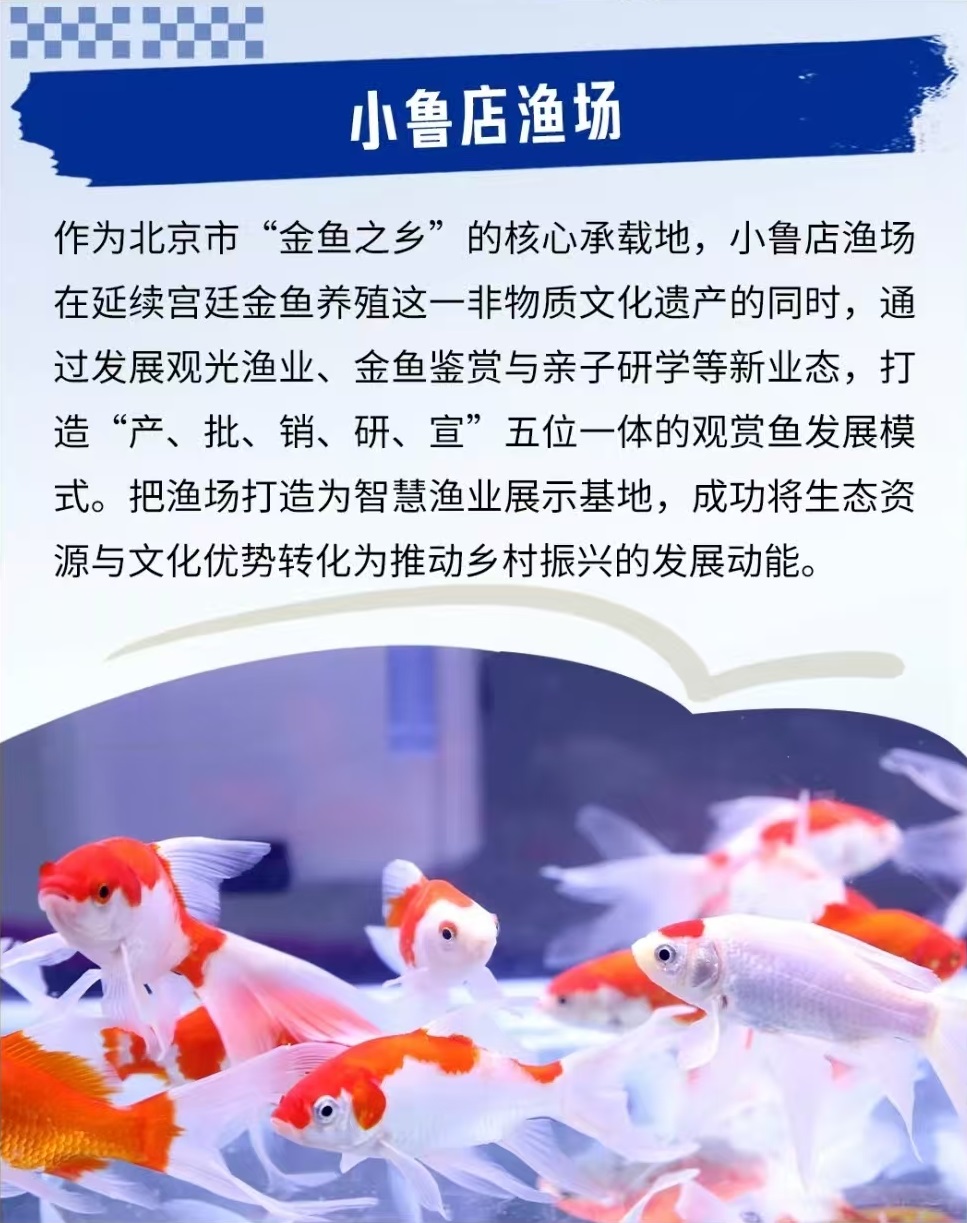 北京初冬漫步指南：兩條寶藏路線 小眾又浪漫